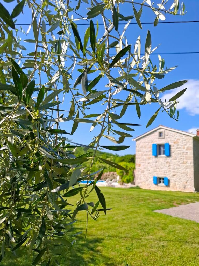 diklo-dom-property-managment-zadar-region-services-odrzavanje-cover-home-3 (1)